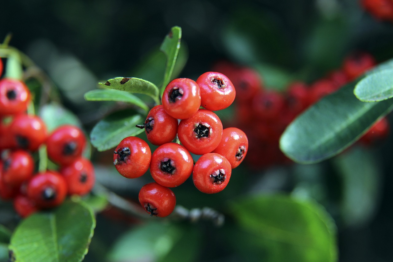 风中有朵雨做的云？曼城新赛季二客球衣曝光：灵感源自雨滴
